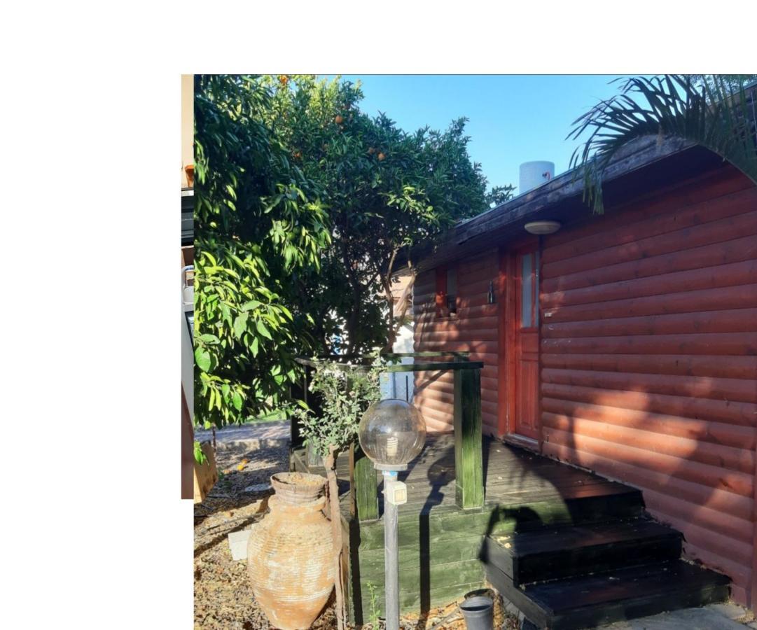 A Fun Holiday In The Galilee Sede Eli'ezer Exterior foto